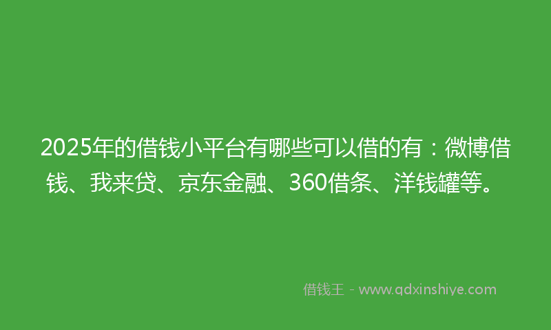 2025年的借钱小平台有哪些可以借的有：微博借钱、我来贷、京东金融、360借条、洋钱罐等。