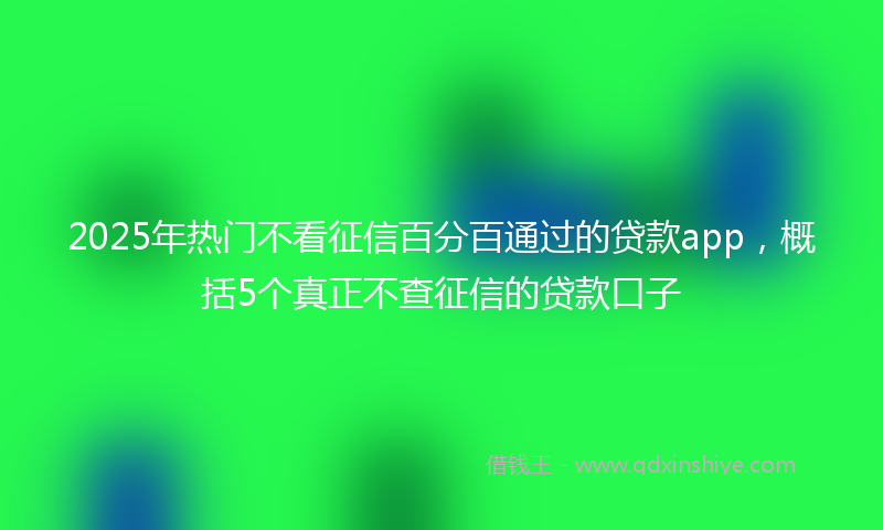 2025年热门不看征信百分百通过的贷款app，概括5个真正不查征信的贷款口子
