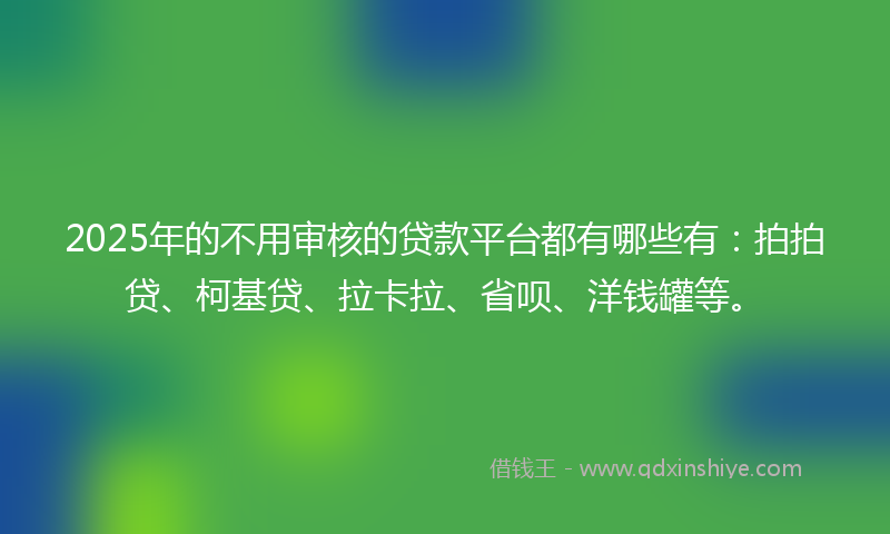 2025年的不用审核的贷款平台都有哪些有：拍拍贷、柯基贷、拉卡拉、省呗、洋钱罐等。
