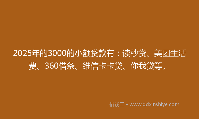 2025年的3000的小额贷款有：读秒贷、美团生活费、360借条、维信卡卡贷、你我贷等。