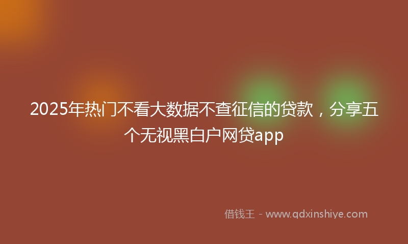 2025年热门不看大数据不查征信的贷款，分享五个无视黑白户网贷app