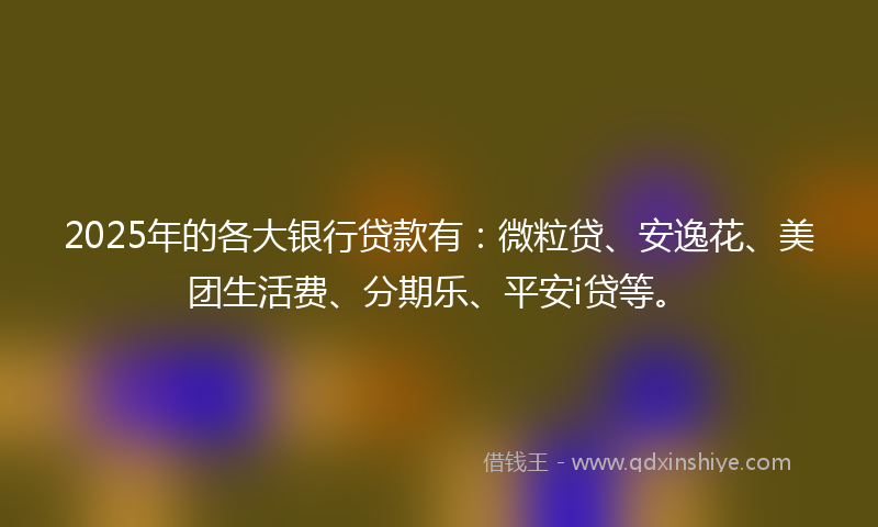 2025年的各大银行贷款有：微粒贷、安逸花、美团生活费、分期乐、平安i贷等。
