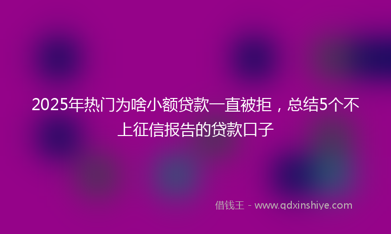 2025年热门为啥小额贷款一直被拒，总结5个不上征信报告的贷款口子