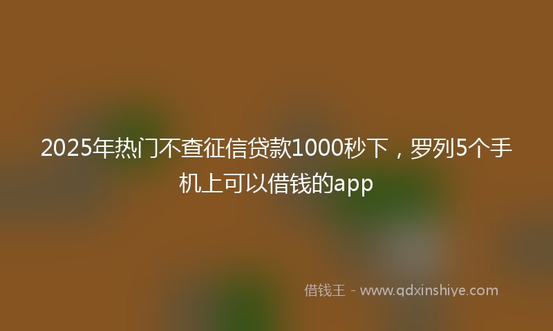 2025年热门不查征信贷款1000秒下，罗列5个手机上可以借钱的app