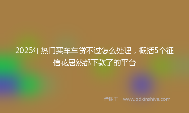 2025年热门买车车贷不过怎么处理，概括5个征信花居然都下款了的平台