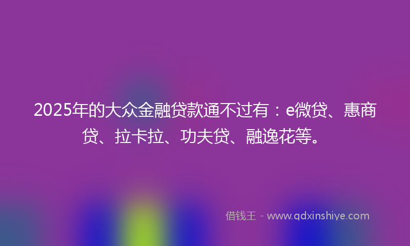 2025年的大众金融贷款通不过有：e微贷、惠商贷、拉卡拉、功夫贷、融逸花等。
