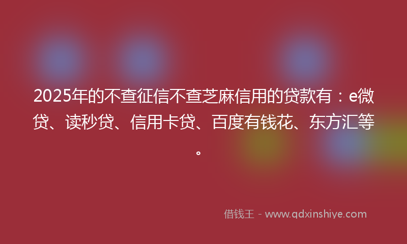 2025年的不查征信不查芝麻信用的贷款有：e微贷、读秒贷、信用卡贷、百度有钱花、东方汇等。