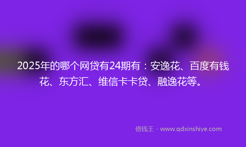 2025年的哪个网贷有24期有：安逸花、百度有钱花、东方汇、维信卡卡贷、融逸花等。