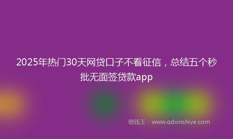 2025年热门30天网贷口子不看征信，总结五个秒批无面签贷款app