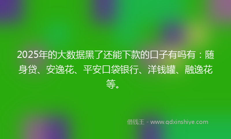 2025年的大数据黑了还能下款的口子有吗有：随身贷、安逸花、平安口袋银行、洋钱罐、融逸花等。