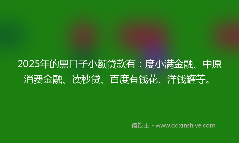 2025年的黑口子小额贷款有：度小满金融、中原消费金融、读秒贷、百度有钱花、洋钱罐等。