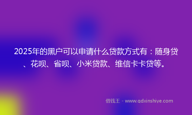 2025年的黑户可以申请什么贷款方式有：随身贷、花呗、省呗、小米贷款、维信卡卡贷等。
