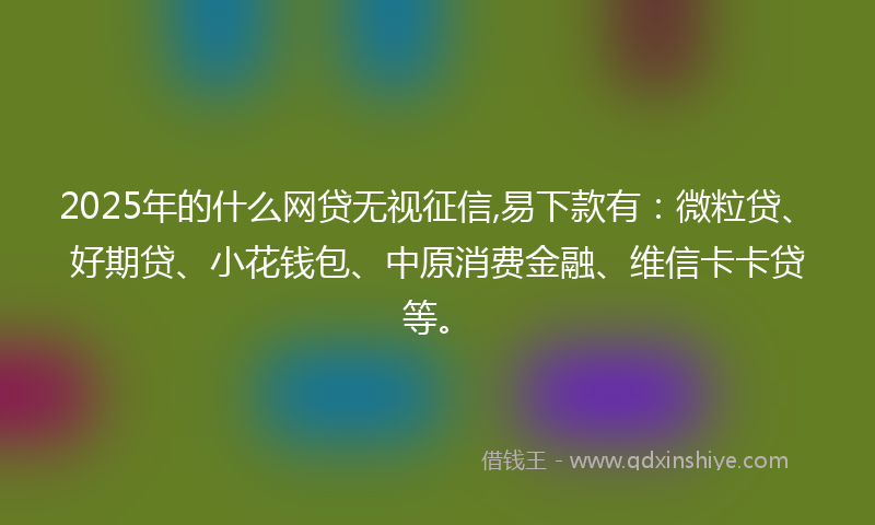 2025年的什么网贷无视征信,易下款有：微粒贷、好期贷、小花钱包、中原消费金融、维信卡卡贷等。