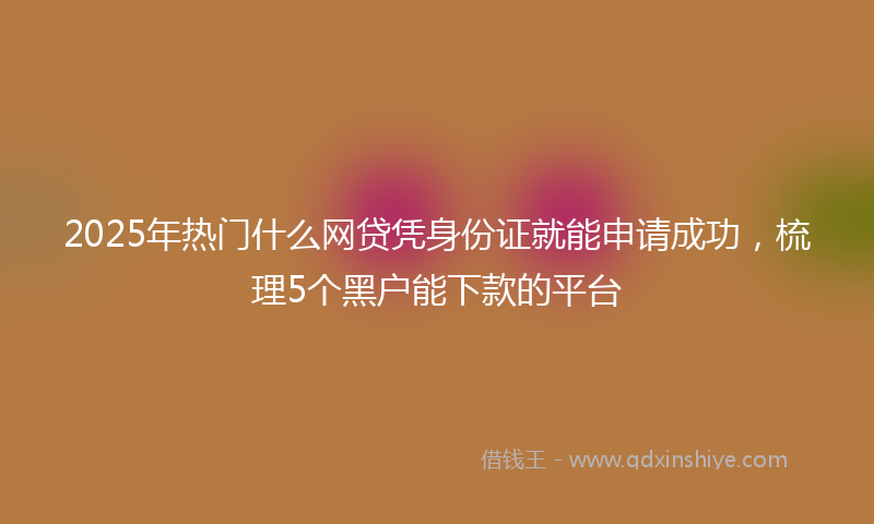 2025年热门什么网贷凭身份证就能申请成功，梳理5个黑户能下款的平台
