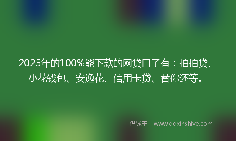 2025年的100%能下款的网贷口子有：拍拍贷、小花钱包、安逸花、信用卡贷、替你还等。