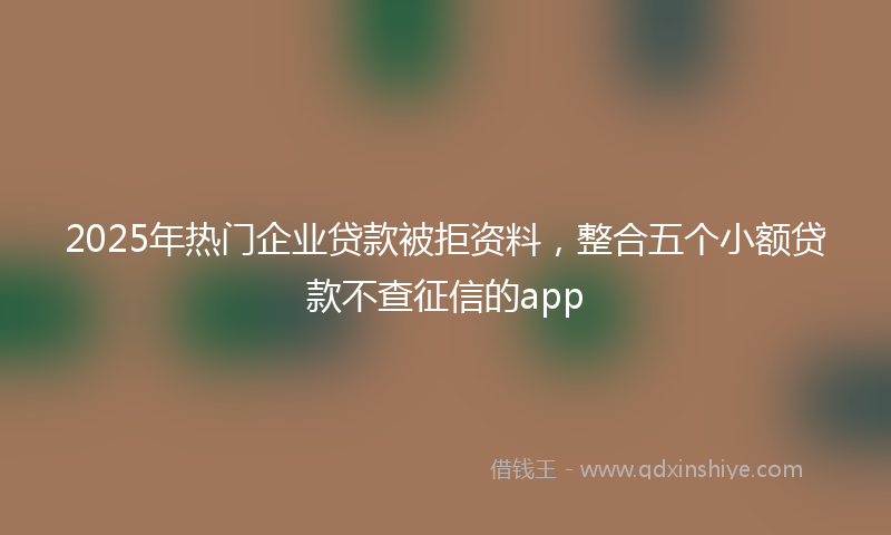2025年热门企业贷款被拒资料，整合五个小额贷款不查征信的app