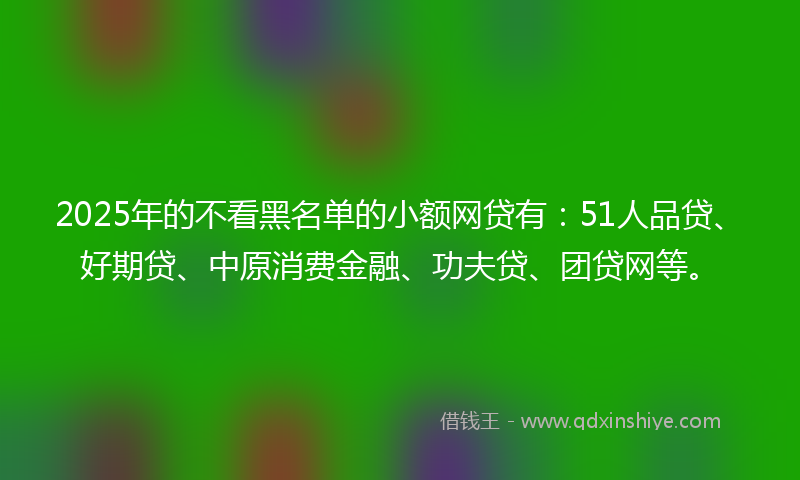 2025年的不看黑名单的小额网贷有：51人品贷、好期贷、中原消费金融、功夫贷、团贷网等。