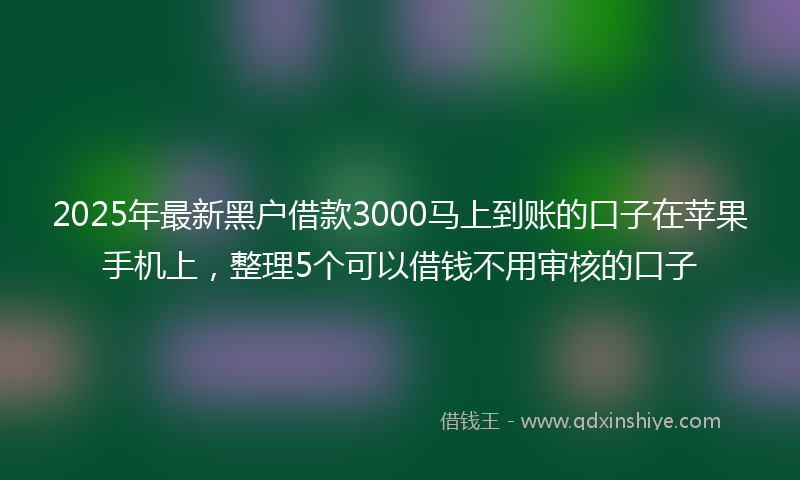2025年最新黑户借款3000马上到账的口子在苹果手机上，整理5个可以借钱不用审核的口子