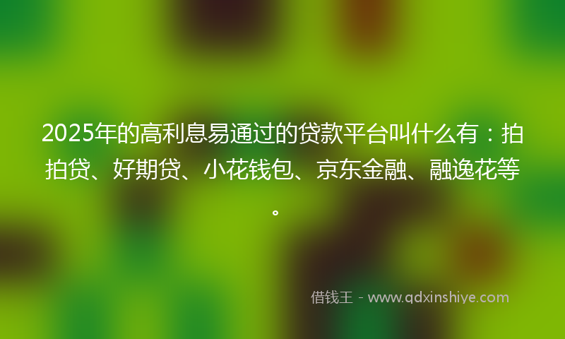 2025年的高利息易通过的贷款平台叫什么有：拍拍贷、好期贷、小花钱包、京东金融、融逸花等。