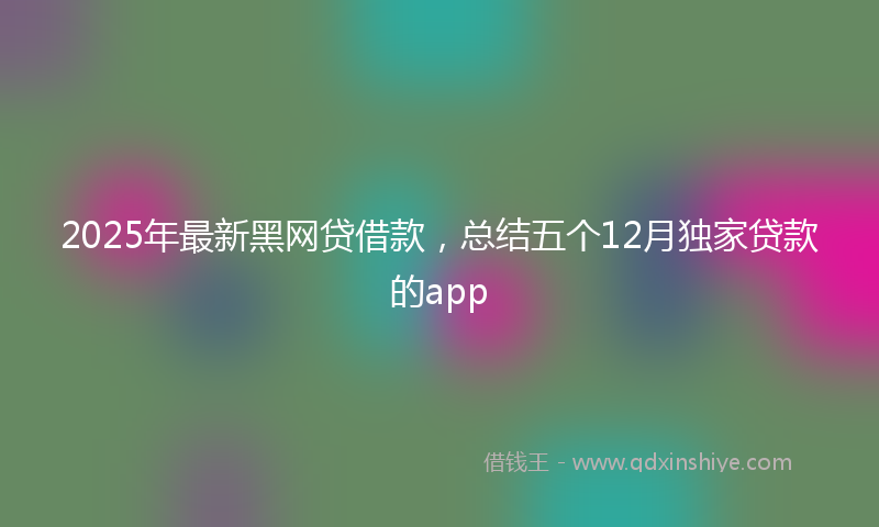 2025年最新黑网贷借款，总结五个12月独家贷款的app