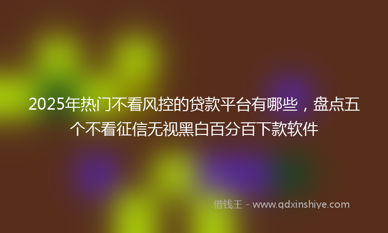 2025年热门不看风控的贷款平台有哪些，盘点五个不看征信无视黑白百分百下款软件