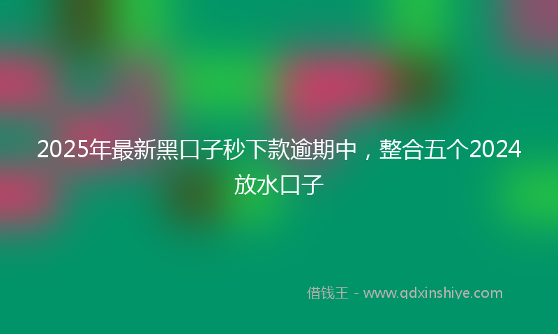 2025年最新黑口子秒下款逾期中，整合五个2024放水口子