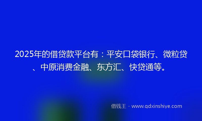 2025年的借贷款平台有：平安口袋银行、微粒贷、中原消费金融、东方汇、快贷通等。