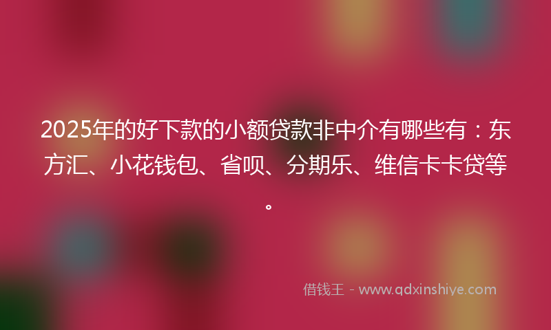 2025年的好下款的小额贷款非中介有哪些有：东方汇、小花钱包、省呗、分期乐、维信卡卡贷等。
