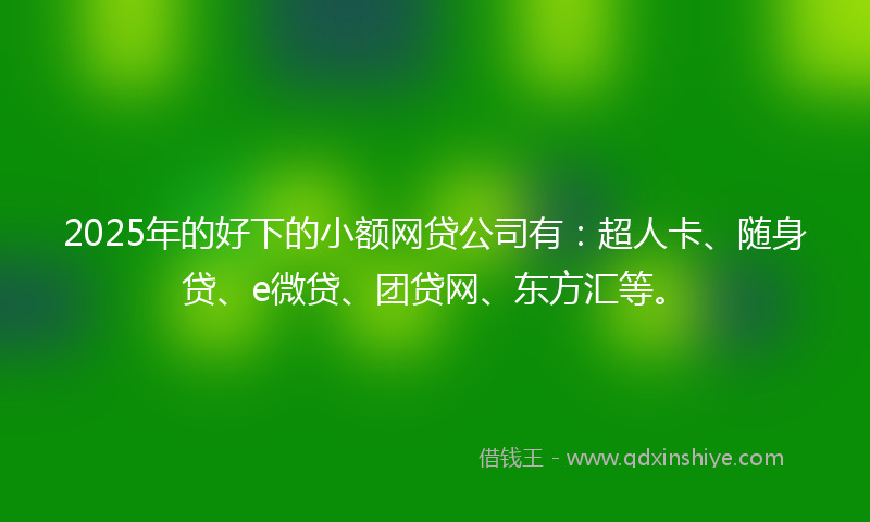 2025年的好下的小额网贷公司有：超人卡、随身贷、e微贷、团贷网、东方汇等。