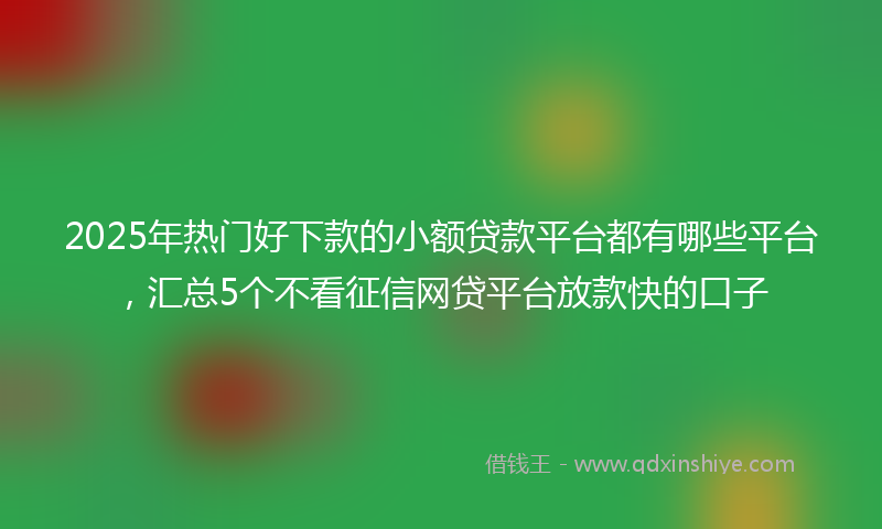 2025年热门好下款的小额贷款平台都有哪些平台，汇总5个不看征信网贷平台放款快的口子