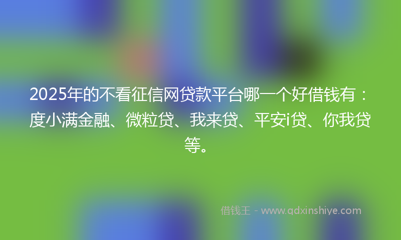 2025年的不看征信网贷款平台哪一个好借钱有：度小满金融、微粒贷、我来贷、平安i贷、你我贷等。
