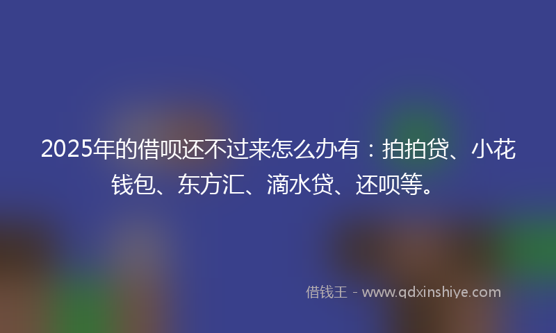 2025年的借呗还不过来怎么办有：拍拍贷、小花钱包、东方汇、滴水贷、还呗等。