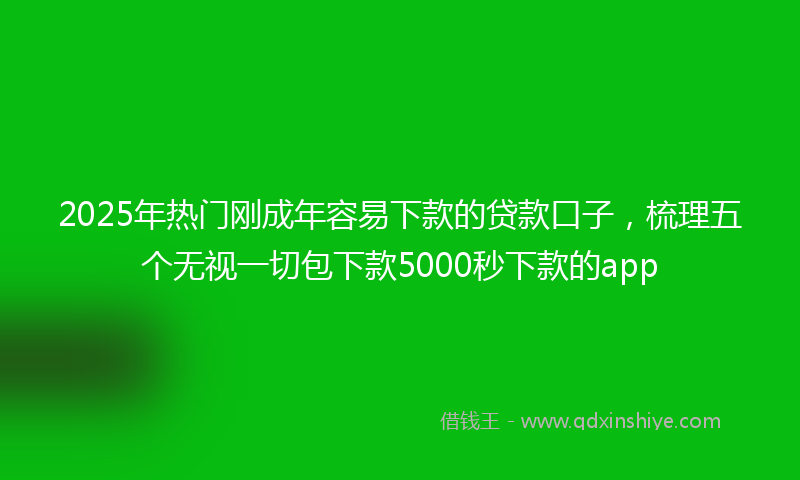 2025年热门刚成年容易下款的贷款口子，梳理五个无视一切包下款5000秒下款的app