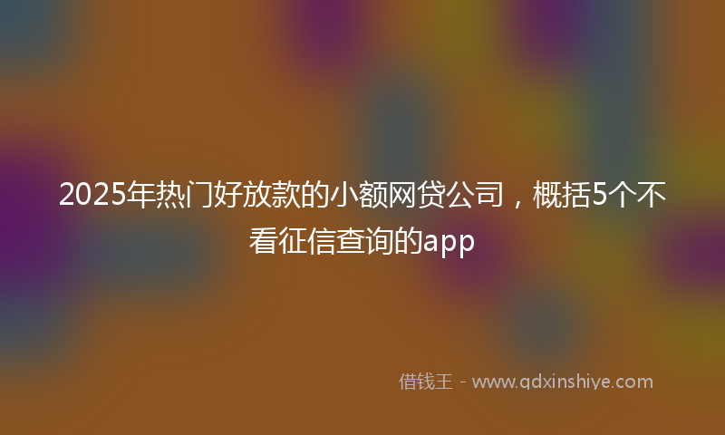 2025年热门好放款的小额网贷公司，概括5个不看征信查询的app
