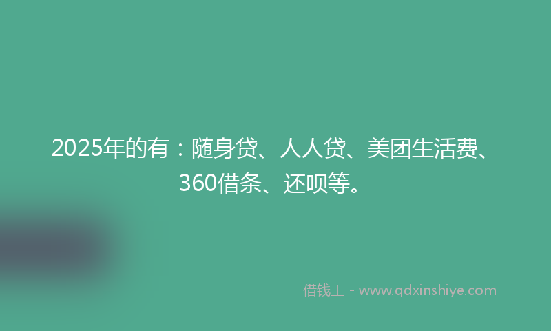 2025年的有：随身贷、人人贷、美团生活费、360借条、还呗等。