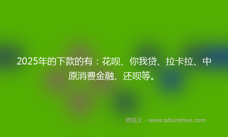 2025年的下款的有：花呗、你我贷、拉卡拉、中原消费金融、还呗等。