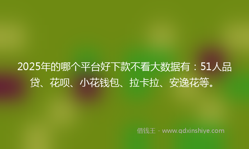 2025年的哪个平台好下款不看大数据有：51人品贷、花呗、小花钱包、拉卡拉、安逸花等。