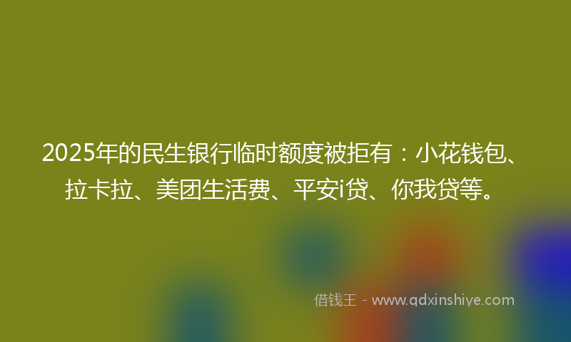 2025年的民生银行临时额度被拒有：小花钱包、拉卡拉、美团生活费、平安i贷、你我贷等。