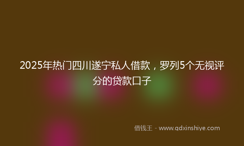 2025年热门四川遂宁私人借款，罗列5个无视评分的贷款口子