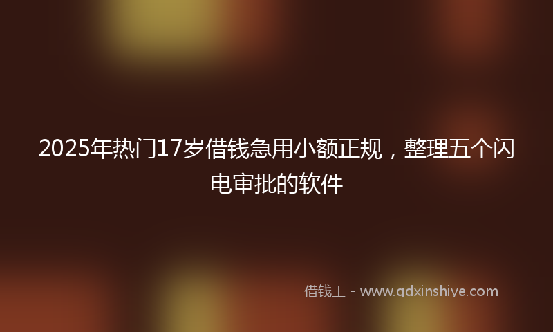 2025年热门17岁借钱急用小额正规，整理五个闪电审批的软件