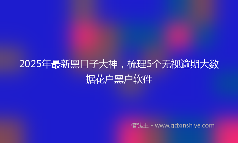 2025年最新黑口子大神，梳理5个无视逾期大数据花户黑户软件