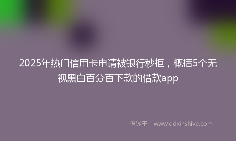 2025年热门信用卡申请被银行秒拒，概括5个无视黑白百分百下款的借款app