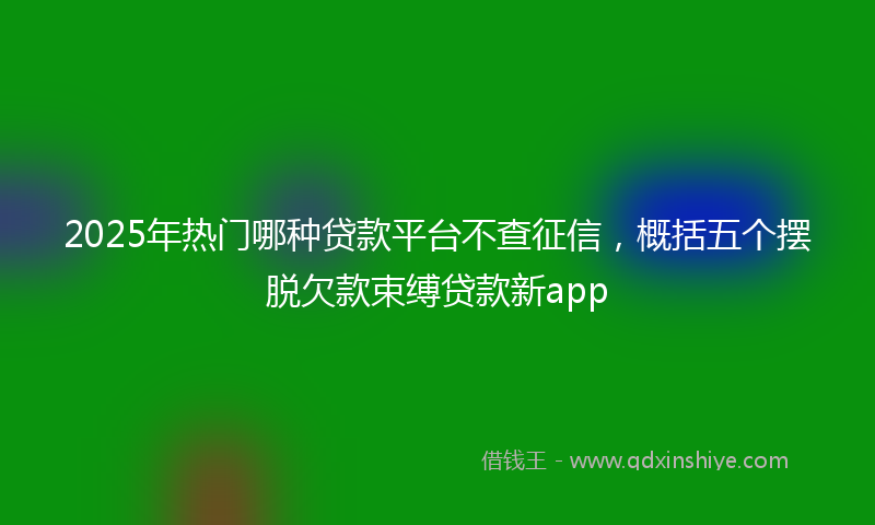 2025年热门哪种贷款平台不查征信，概括五个摆脱欠款束缚贷款新app