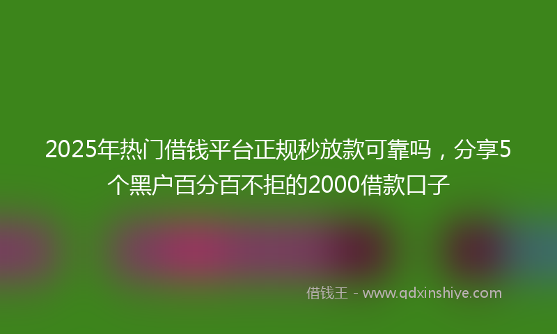 2025年热门借钱平台正规秒放款可靠吗，分享5个黑户百分百不拒的2000借款口子