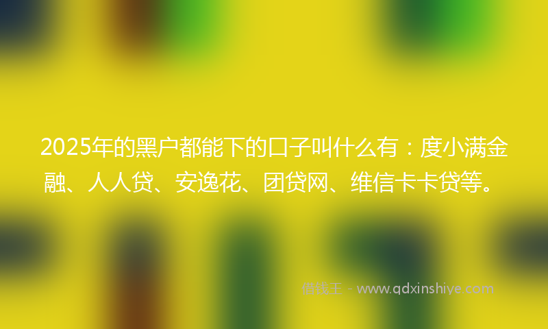 2025年的黑户都能下的口子叫什么有：度小满金融、人人贷、安逸花、团贷网、维信卡卡贷等。
