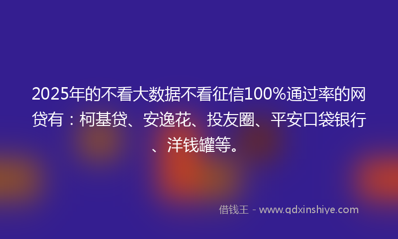 2025年的不看大数据不看征信100%通过率的网贷有：柯基贷、安逸花、投友圈、平安口袋银行、洋钱罐等。