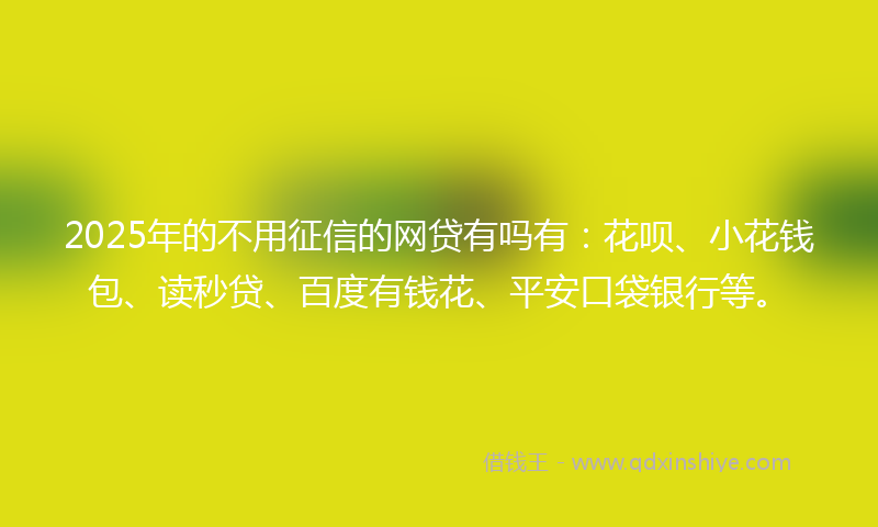 2025年的不用征信的网贷有吗有：花呗、小花钱包、读秒贷、百度有钱花、平安口袋银行等。