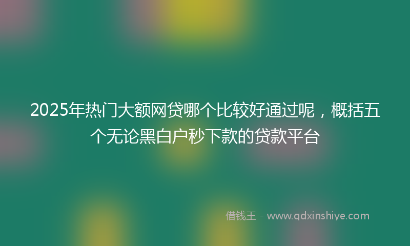 2025年热门大额网贷哪个比较好通过呢，概括五个无论黑白户秒下款的贷款平台