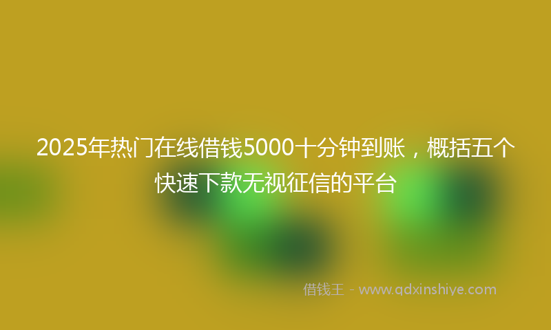 2025年热门在线借钱5000十分钟到账，概括五个快速下款无视征信的平台