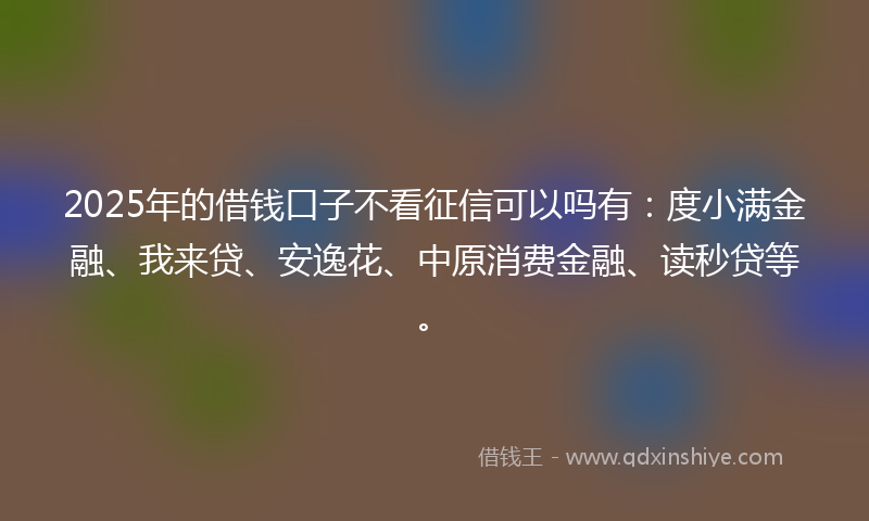 2025年的借钱口子不看征信可以吗有：度小满金融、我来贷、安逸花、中原消费金融、读秒贷等。